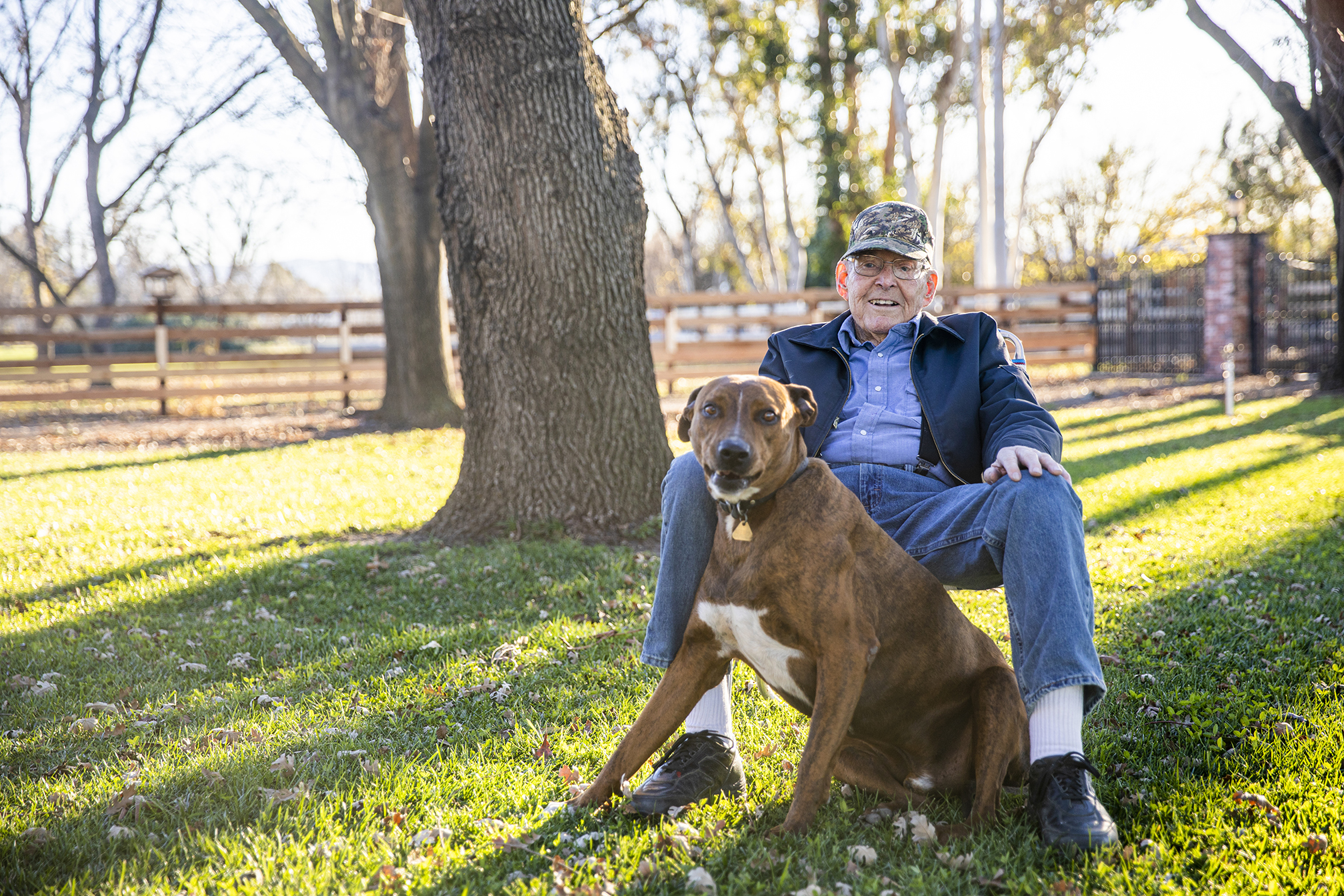 Improving Life Quality with Hospice for Dogs